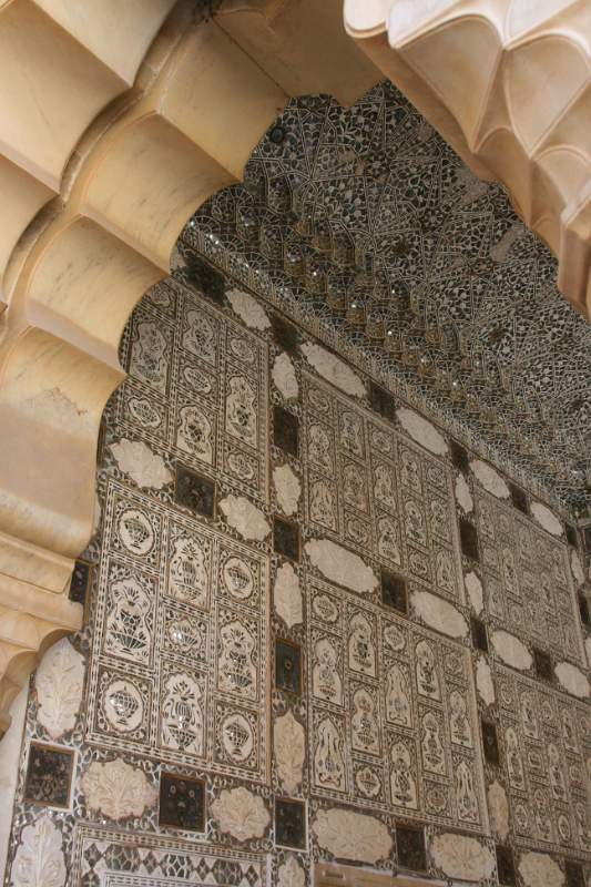 India & Nepal 2011 - 1406